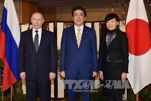 Japan und Russland diskutieren über gemeinsame Nutzung der umstrittenen Inseln - ảnh 1